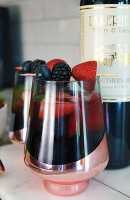 Summer Berry Wine Spritzer
