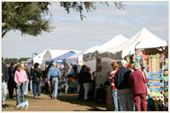 20TH ANNUAL SOUTH LAKE ANIMAL LEAGUE ARTS & CRAFTS SHOW