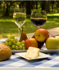 Food and Wine Matches
