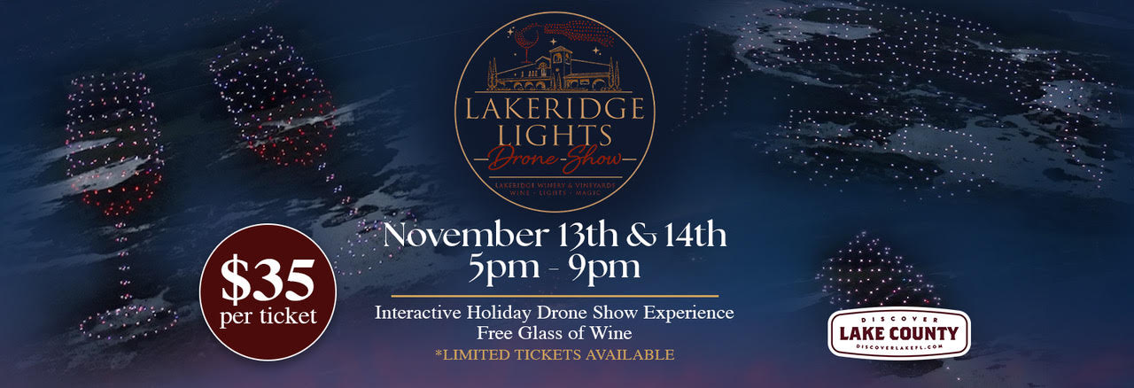 Lakeridge LIGHTS Drone show.