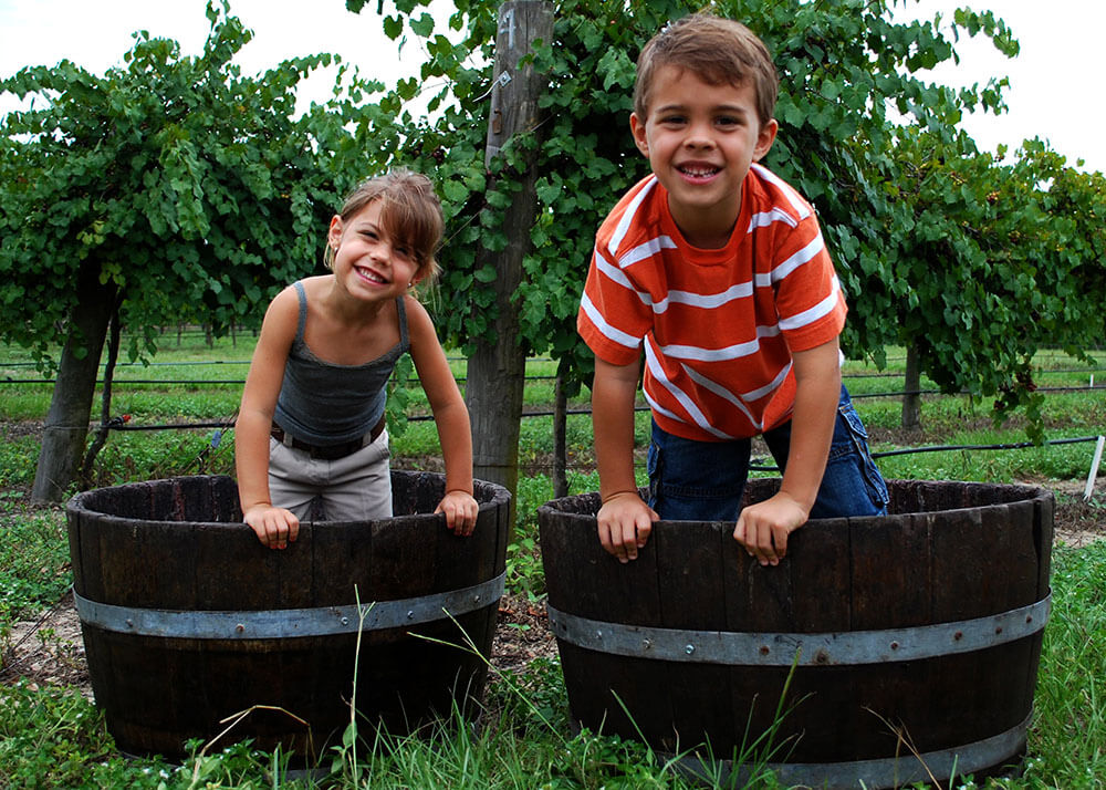 A young boy and girl in wine barrells grape stomping.