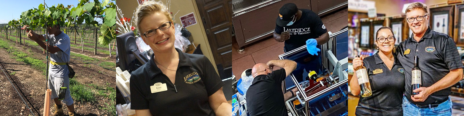 Collage of images showing happy staff members in the vineyard, maintenance, and retail.