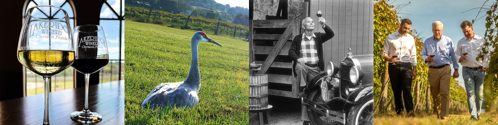 Collage of images showing the winery founders enjoying wine.