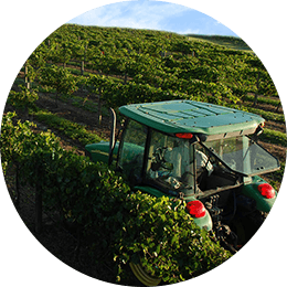 A group of Lakeridge wines in a row